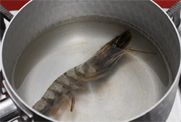 토마토덮밥 3단계 조리 모습